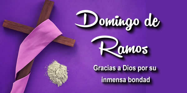 Read more about the article Representación simbólica domingo de Ramos