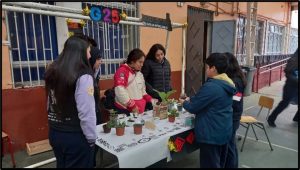  EL TRAFKINTU (INTERCAMBIO DE PLANTAS).