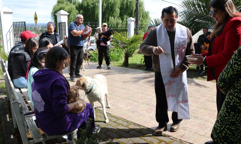 You are currently viewing “BENDICIÓN DE LAS MASCOTAS” UN GESTO DE AMOR FRANCISCANO
