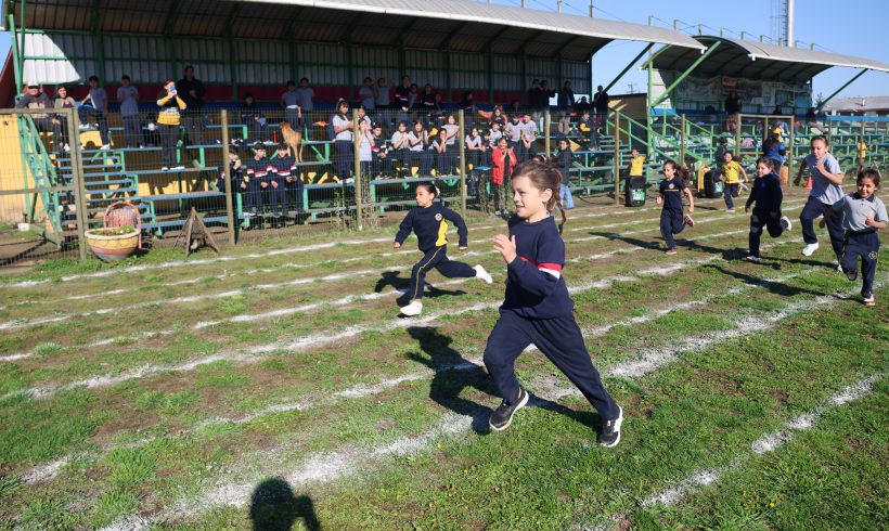 You are currently viewing JORNADA DE ATLETISMO