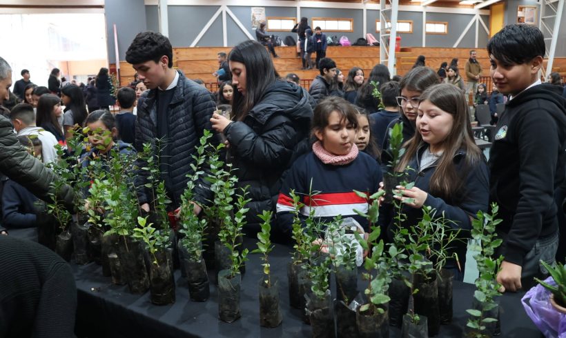 You are currently viewing NTERCAMBIO DE PLANTAS Y SEMILLAS FRANCISCANO
