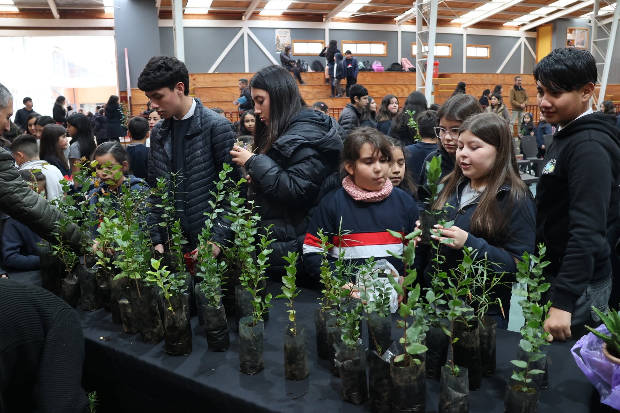 Read more about the article NTERCAMBIO DE PLANTAS Y SEMILLAS FRANCISCANO