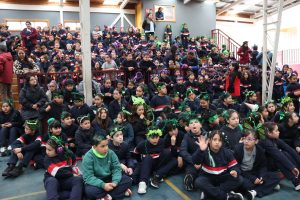  ACTIVIDAD DE ANIVERSARIO PEINADOS LOCOS PRIMER CICLO.