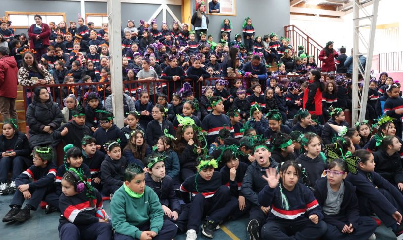 You are currently viewing ACTIVIDAD DE ANIVERSARIO PEINADOS LOCOS PRIMER CICLO.