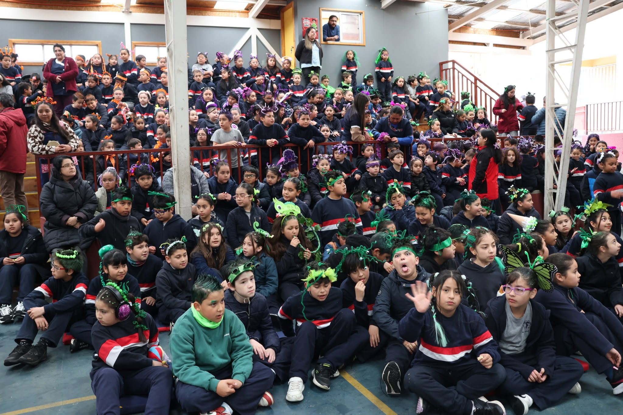 Read more about the article ACTIVIDAD DE ANIVERSARIO PEINADOS LOCOS PRIMER CICLO.